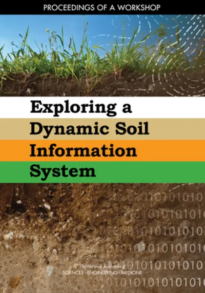 Exploring a Dynamic Soil Information System