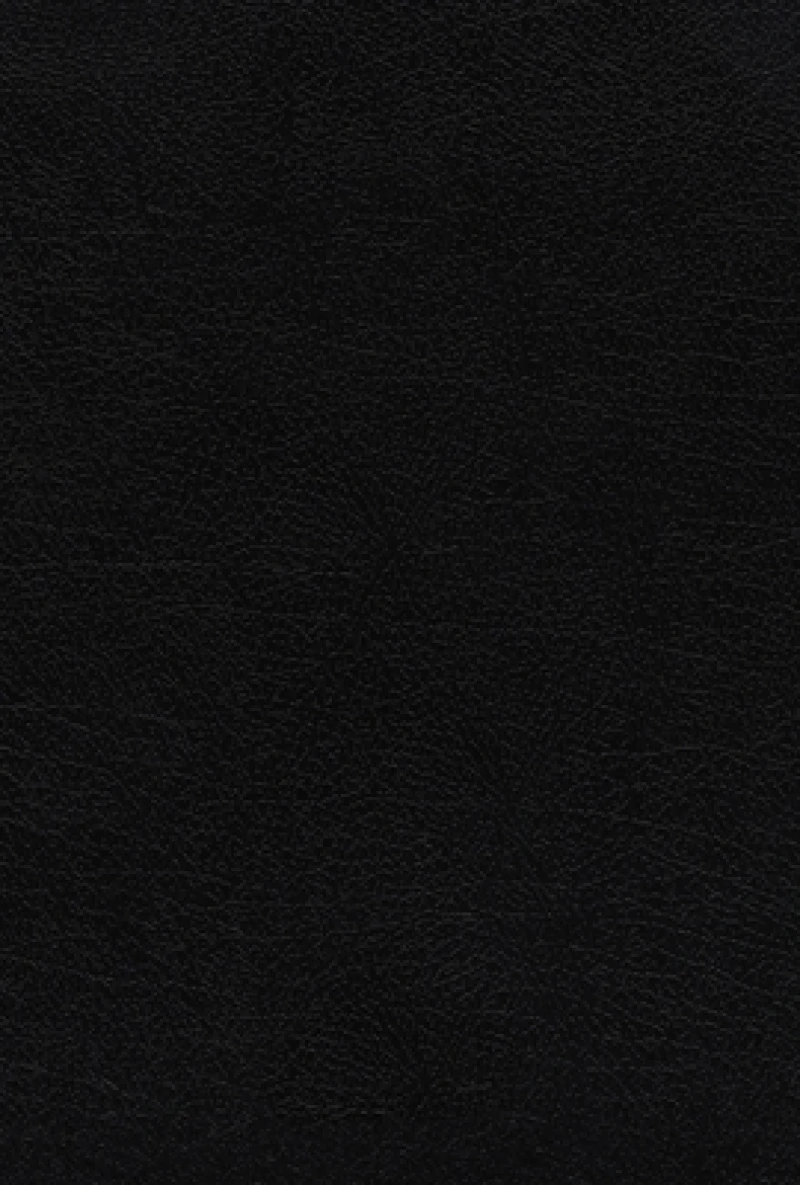 NASB, The Grace and Truth Study Bible (Trustworthy and Practical Insights), Bonded Leather, Black, Red Letter, 1995 Text, Thumb Indexed, Comfort Print