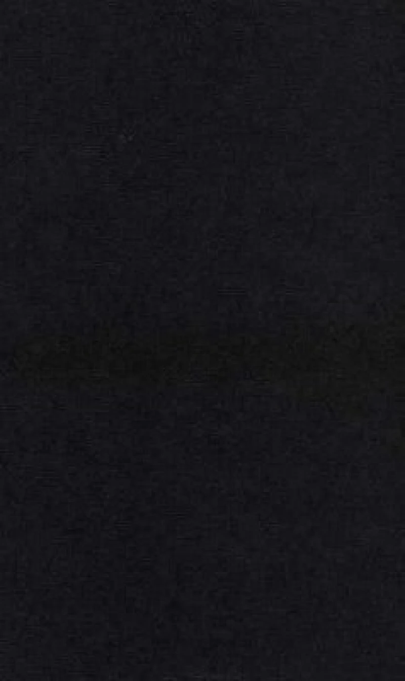 Renaissance Literature and its Formal Engagements