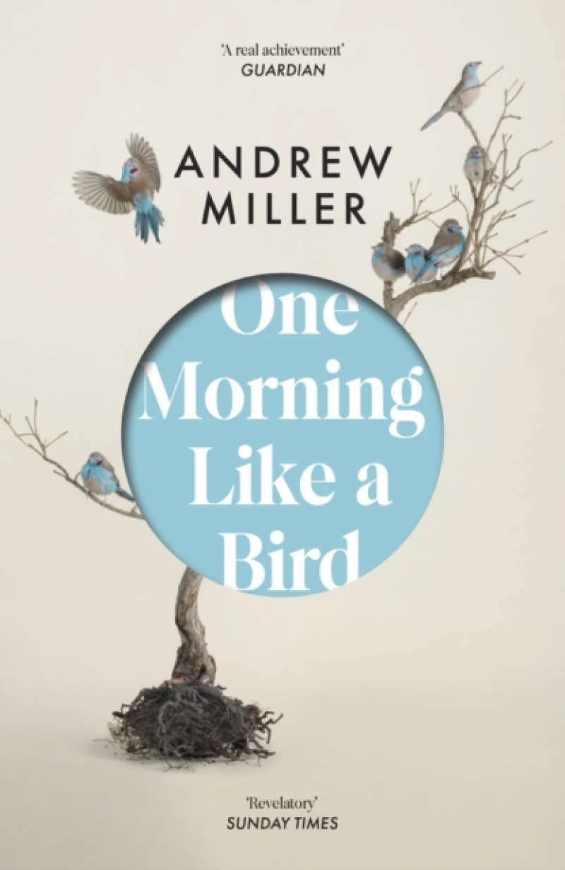 One Morning Like a Bird