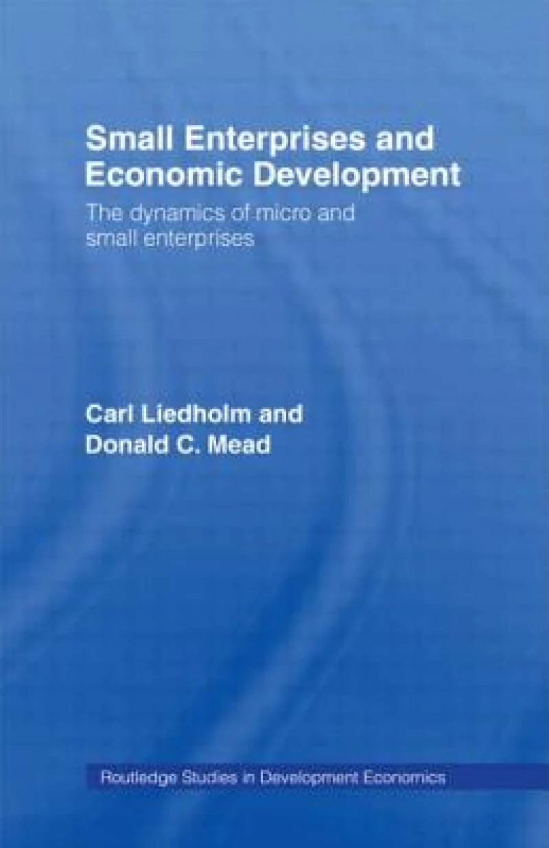 Small Enterprises and Economic Development