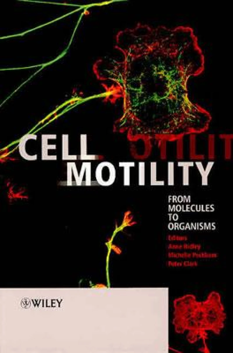 Cell Motility
