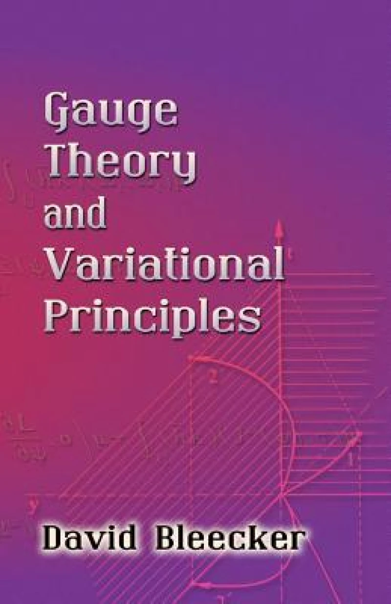 Gauge Theory and Variational Principles