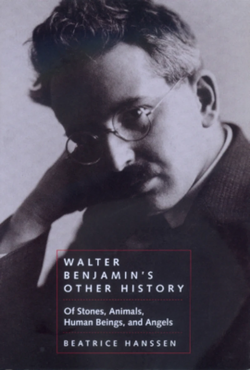 Walter Benjamin's Other History