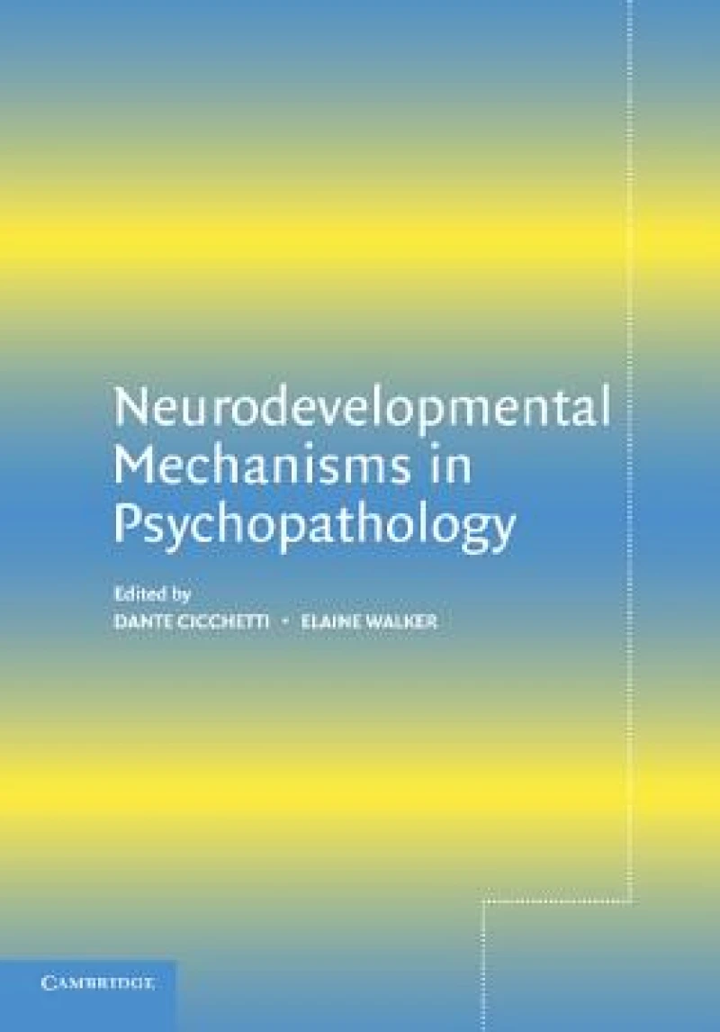Neurodevelopmental Mechanisms in Psychopathology