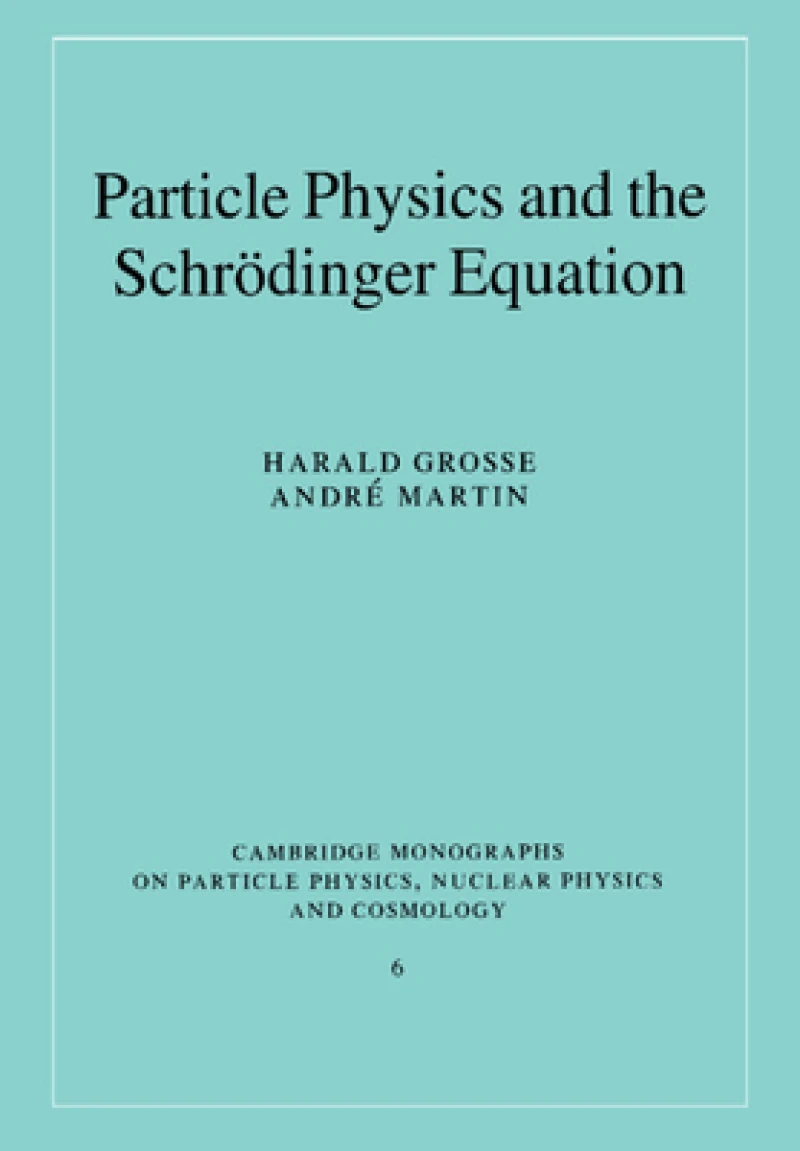 Particle Physics and the Schrodinger Equation