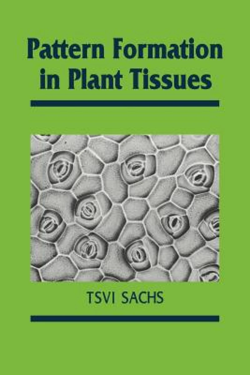 Pattern Formation in Plant Tissues
