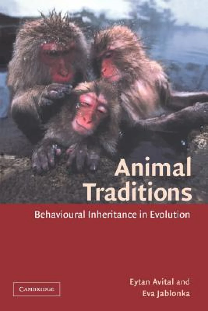 Animal Traditions