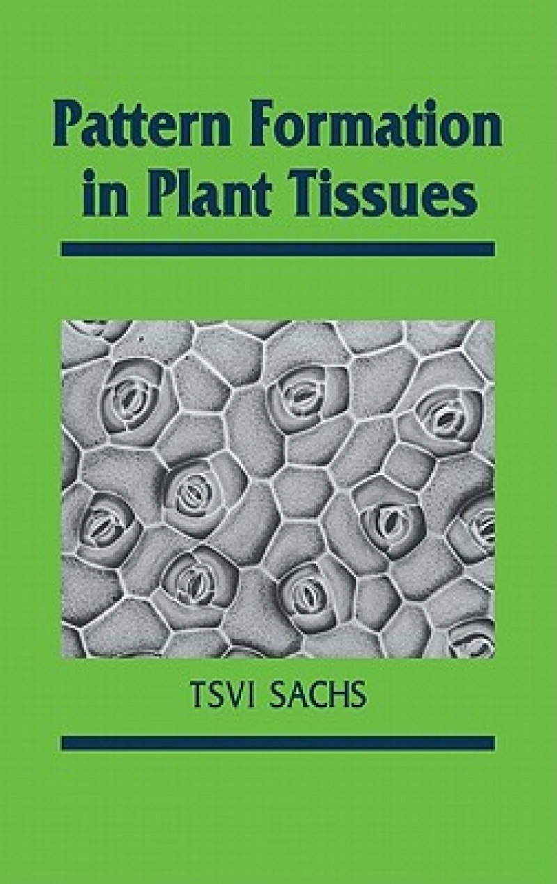 Pattern Formation in Plant Tissues