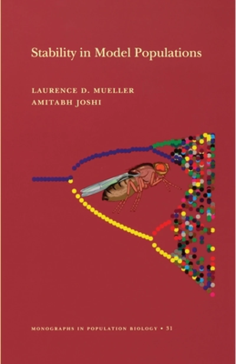 Stability in Model Populations