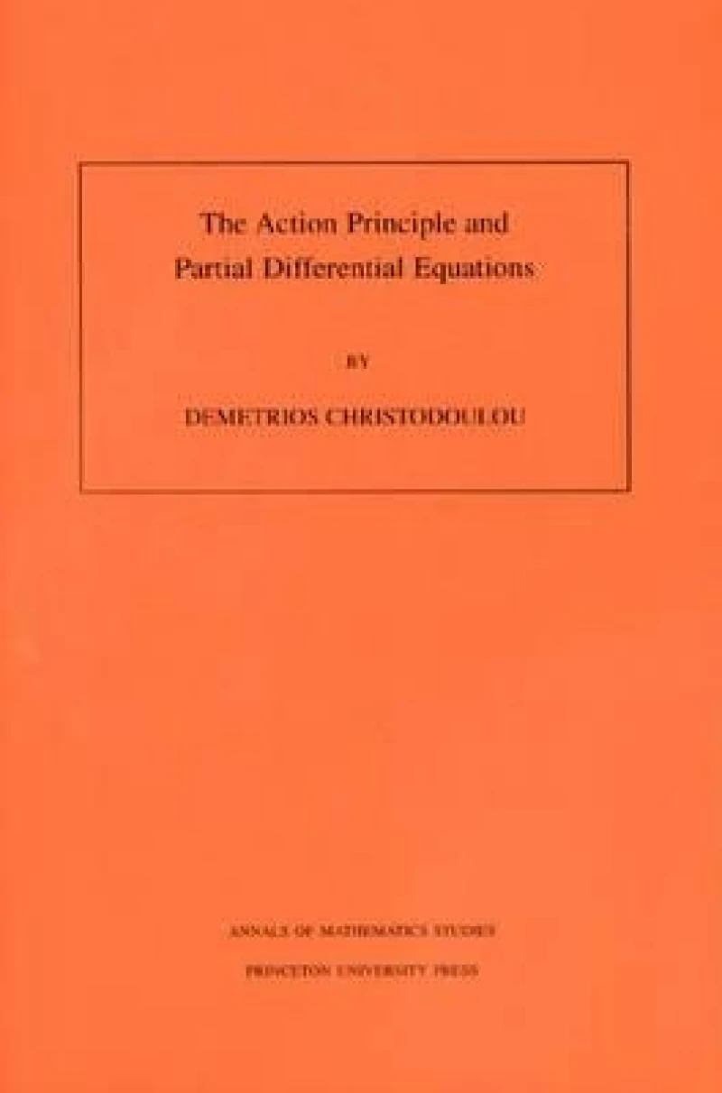 The Action Principle and Partial Differential Equations