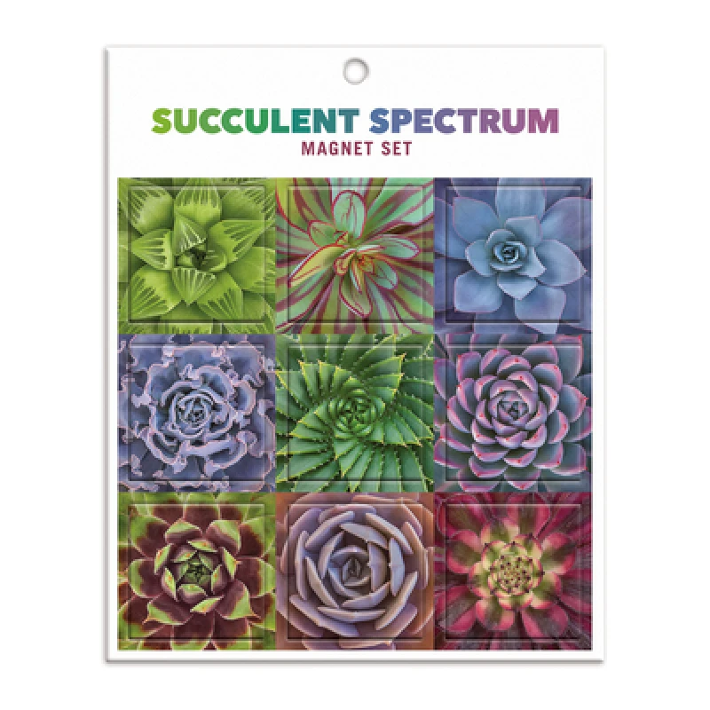 Succulent Spectrum Magnet Set