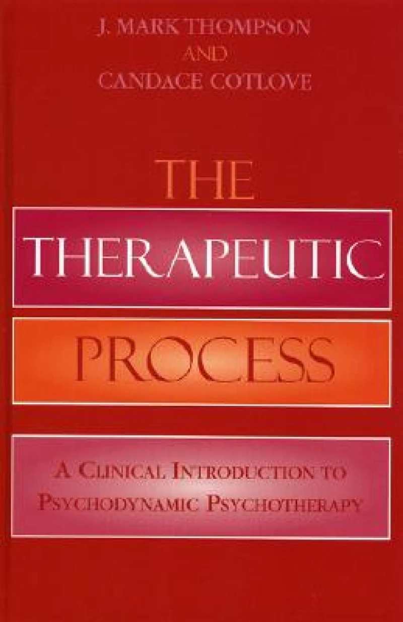 The Therapeutic Process