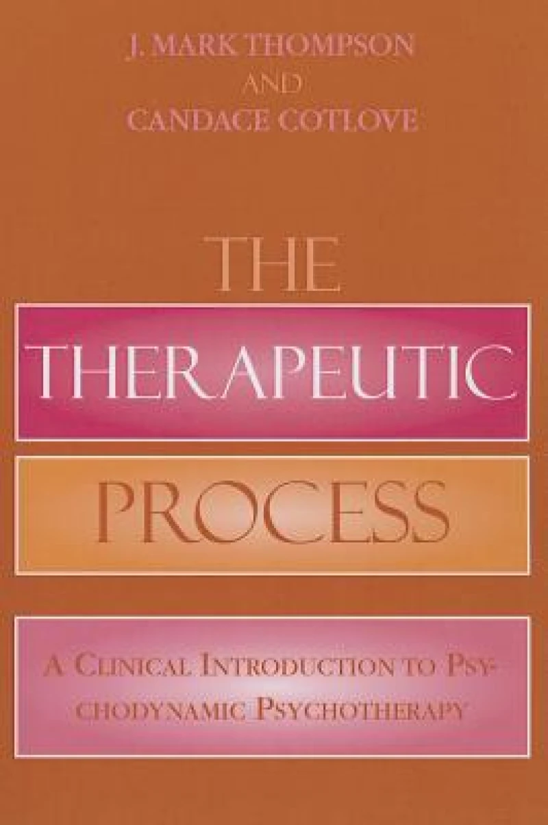 The Therapeutic Process