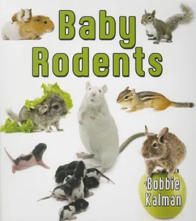 Baby Rodents