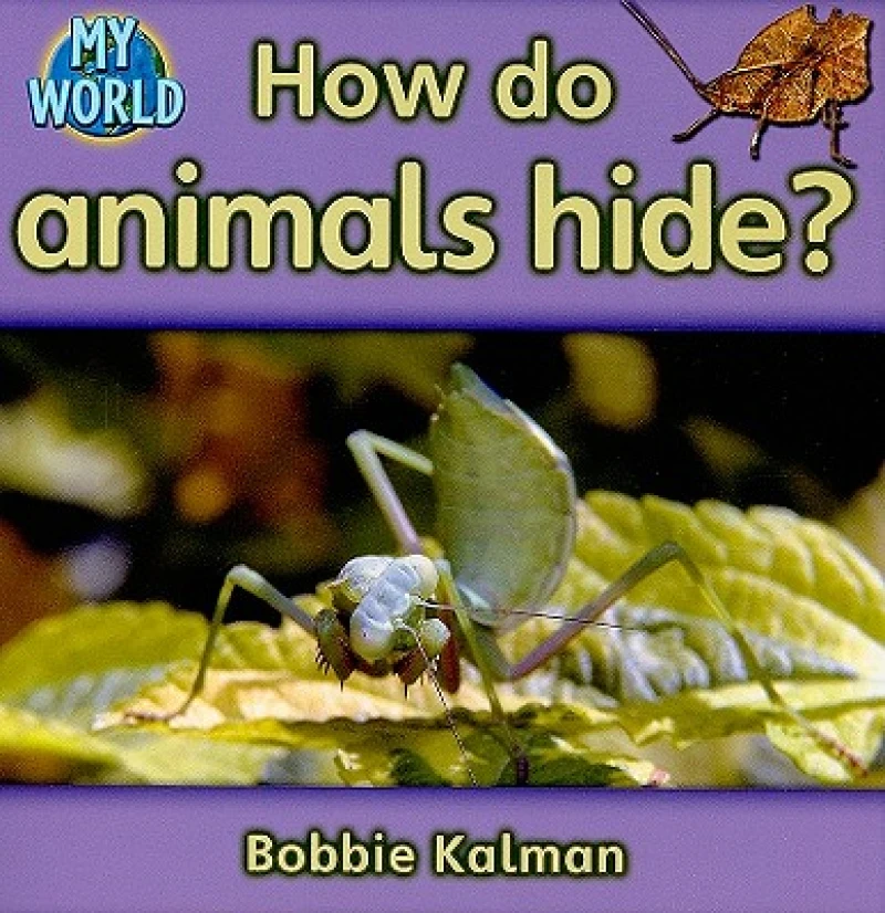 How do animals hide?