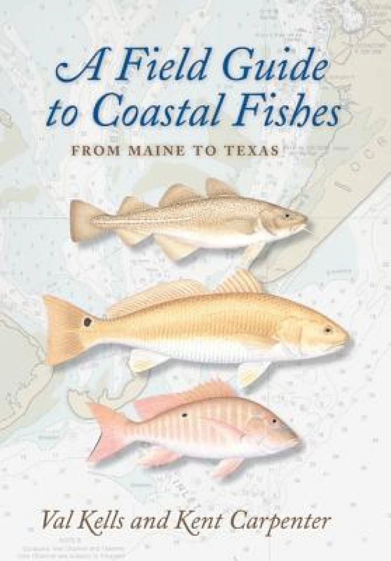 A Field Guide to Coastal Fishes