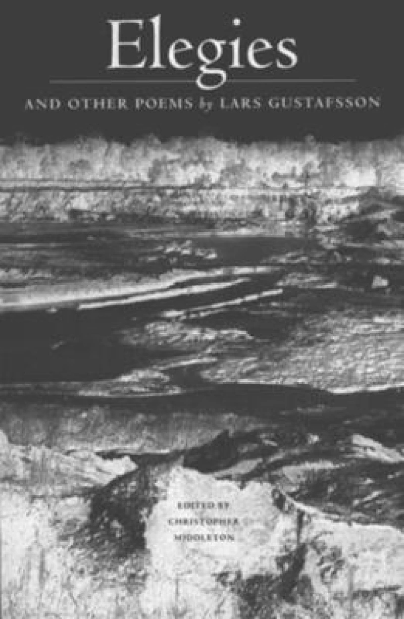 Elegies and Other Poems