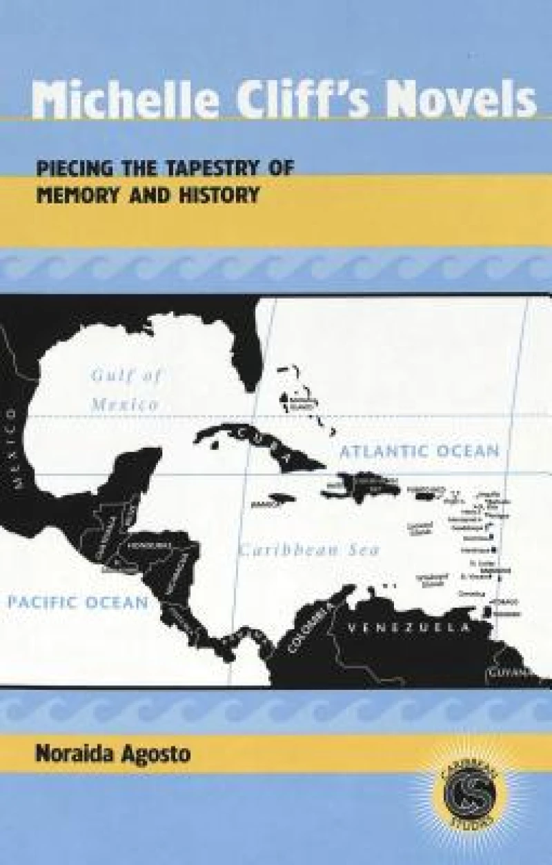 Michelle Cliff's Novels