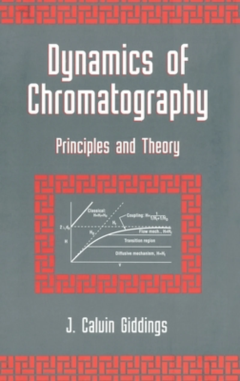 Dynamics of Chromatography