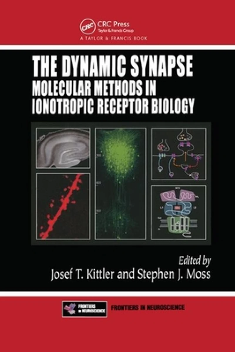 The Dynamic Synapse