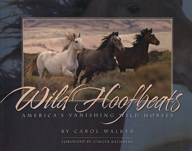 Wild Hoofbeats