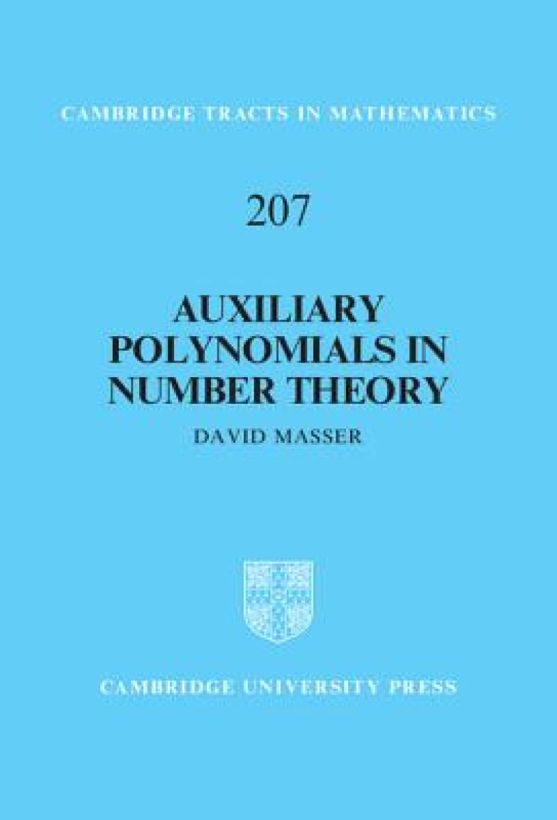Auxiliary Polynomials in Number Theory