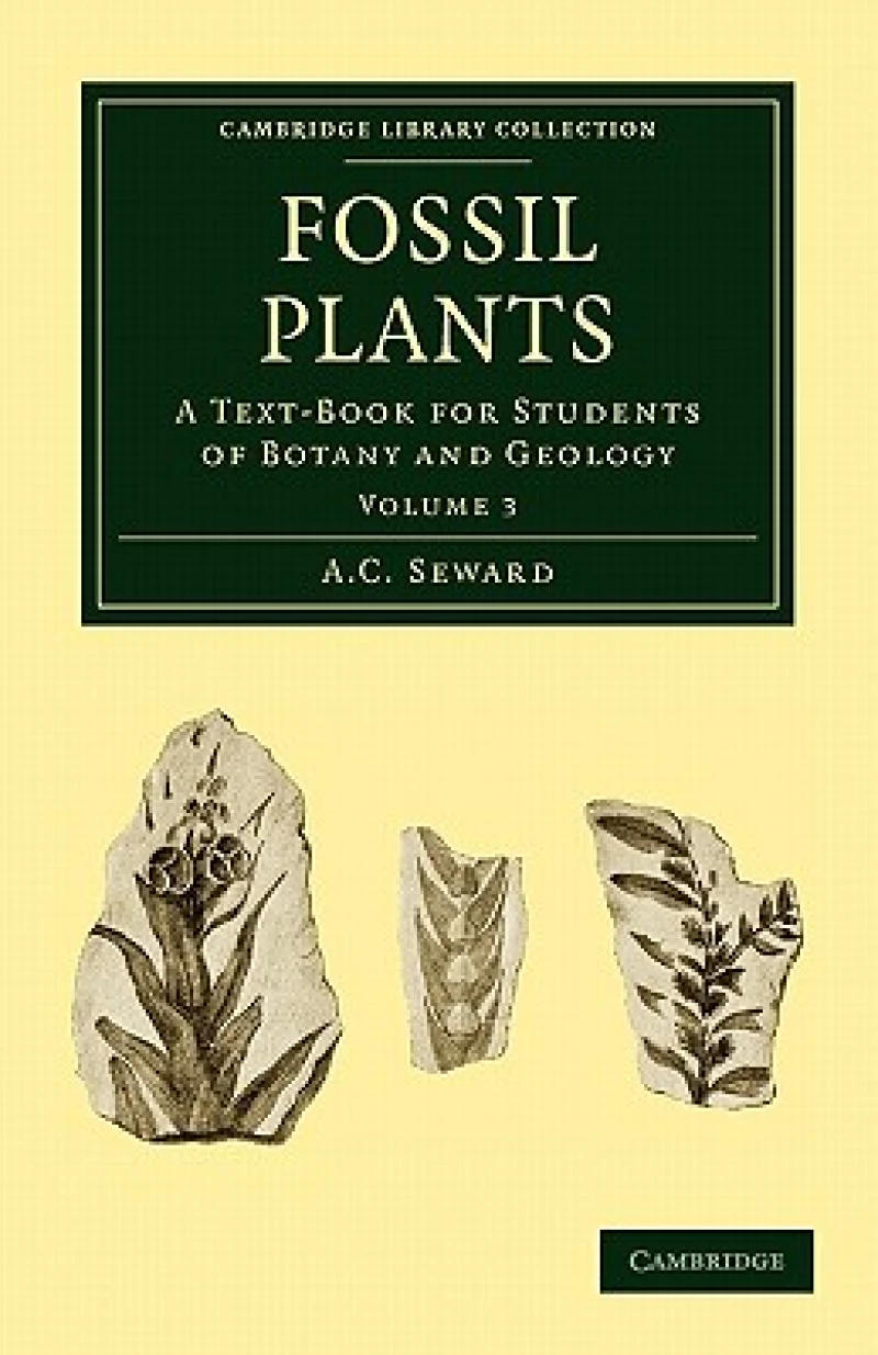 Fossil Plants