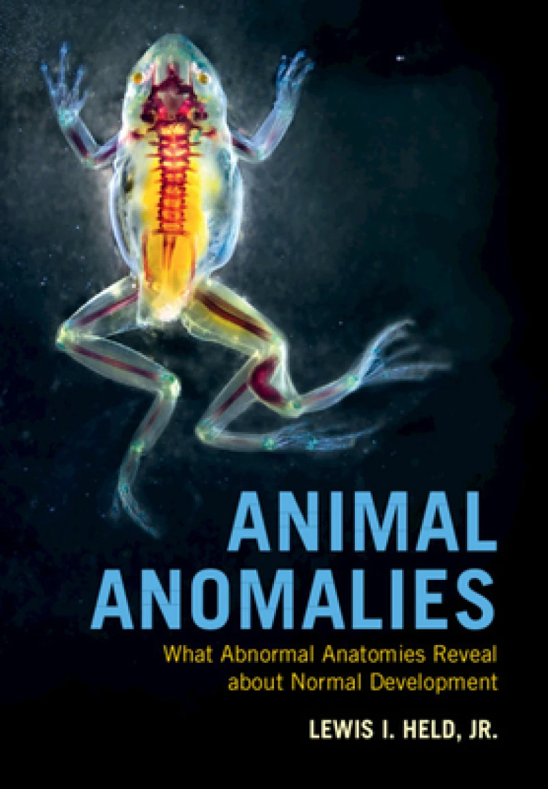 Animal Anomalies