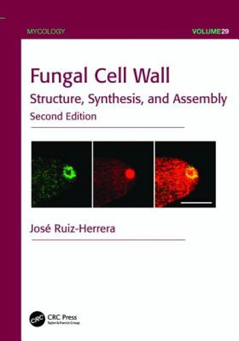 Fungal Cell Wall