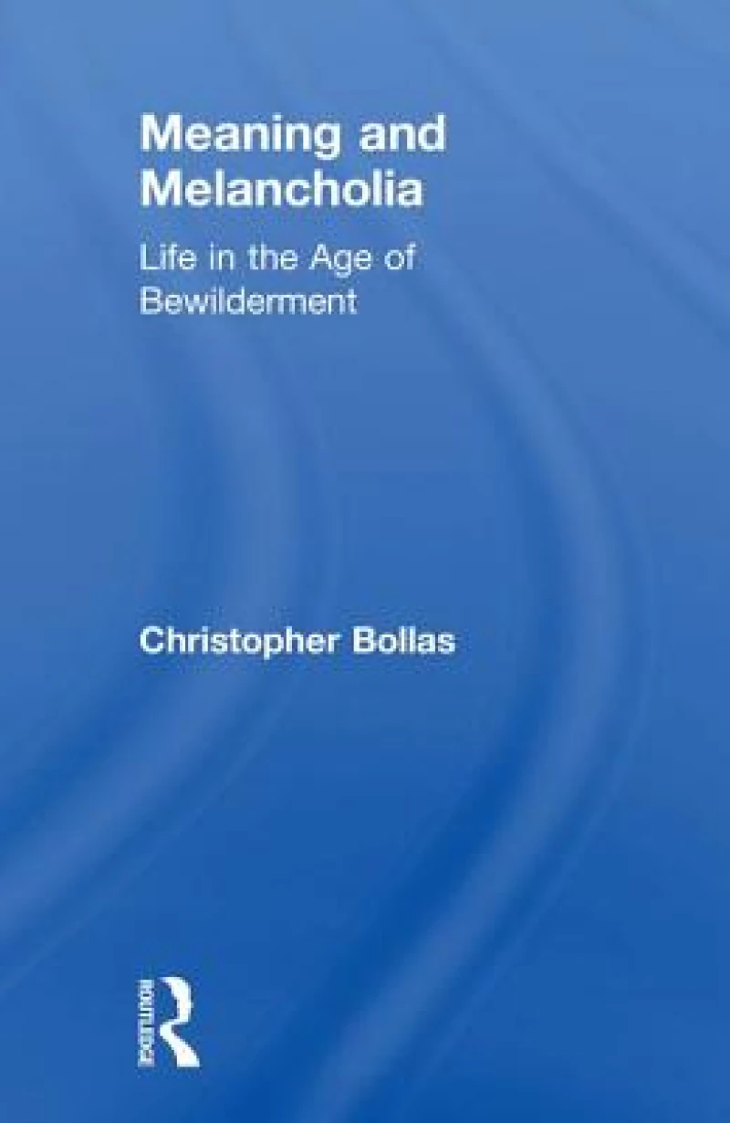 Meaning and Melancholia