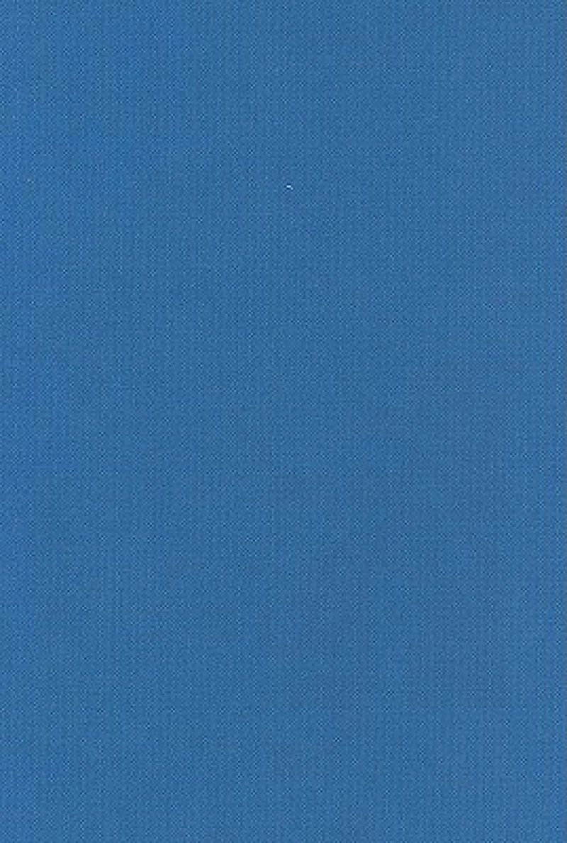 Key Issues for Counselling in Action