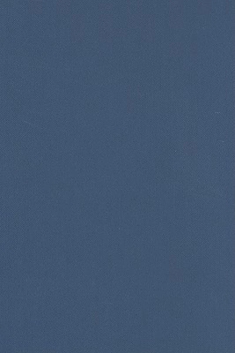 Supporting Speech, Language & Communication Needs