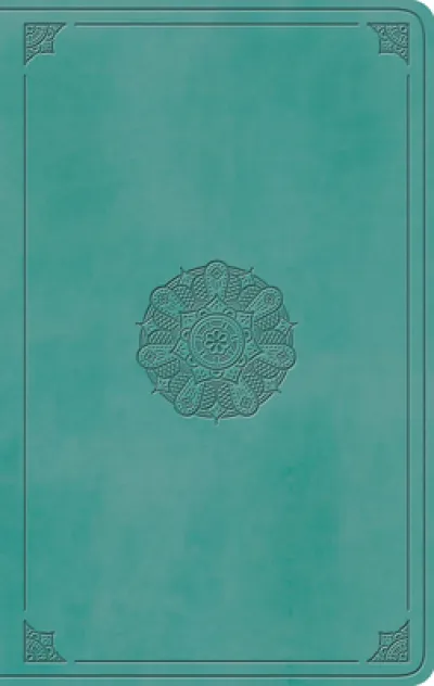 ESV Large Print Value Thinline Bible