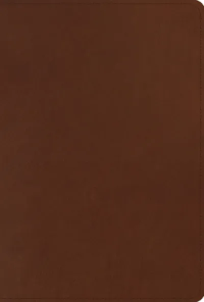 ESV Men's Study Bible