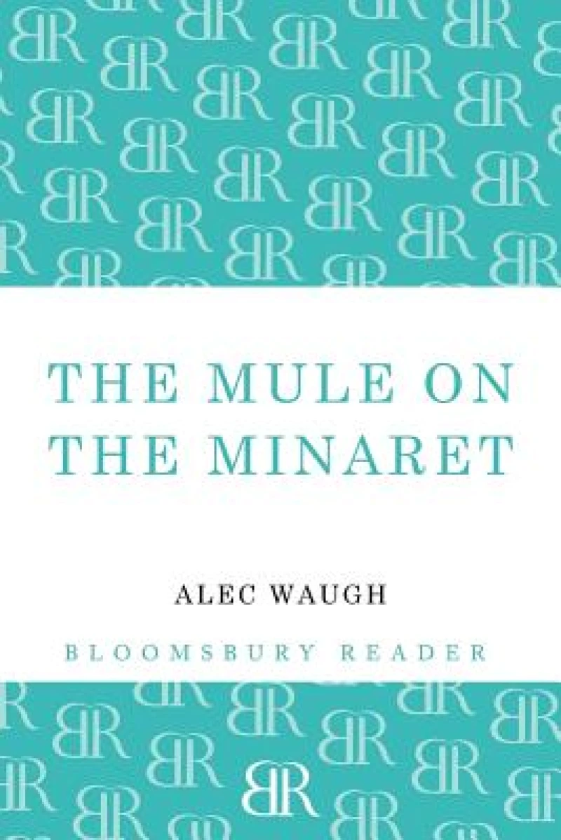 The Mule on the Minaret