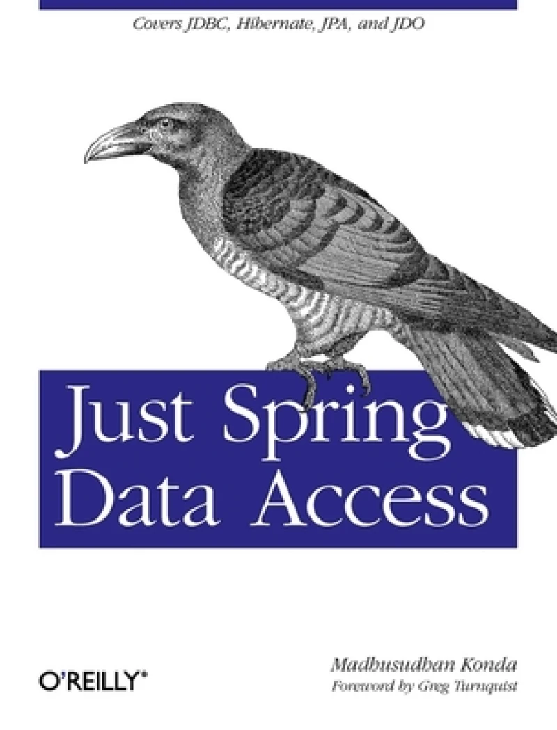 Just Spring Data