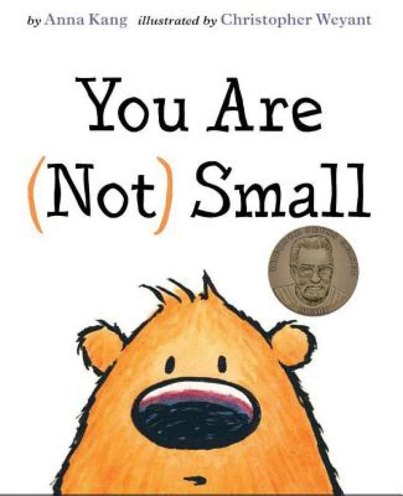 You are Not Small