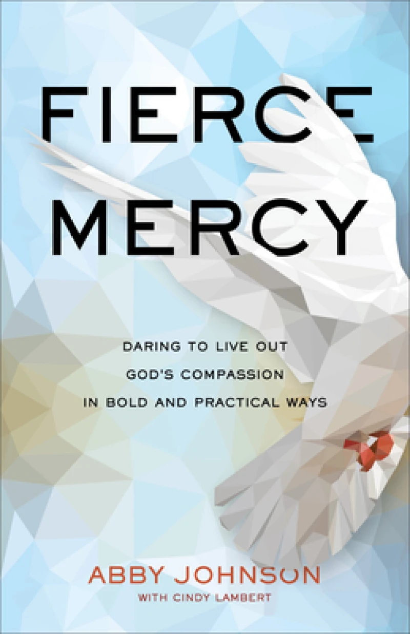 Fierce Mercy – Daring to Live Out God`s Compassion in Bold and Practical Ways