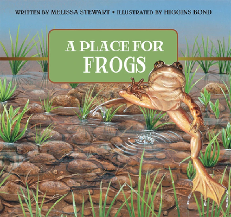 A Place For Frogs