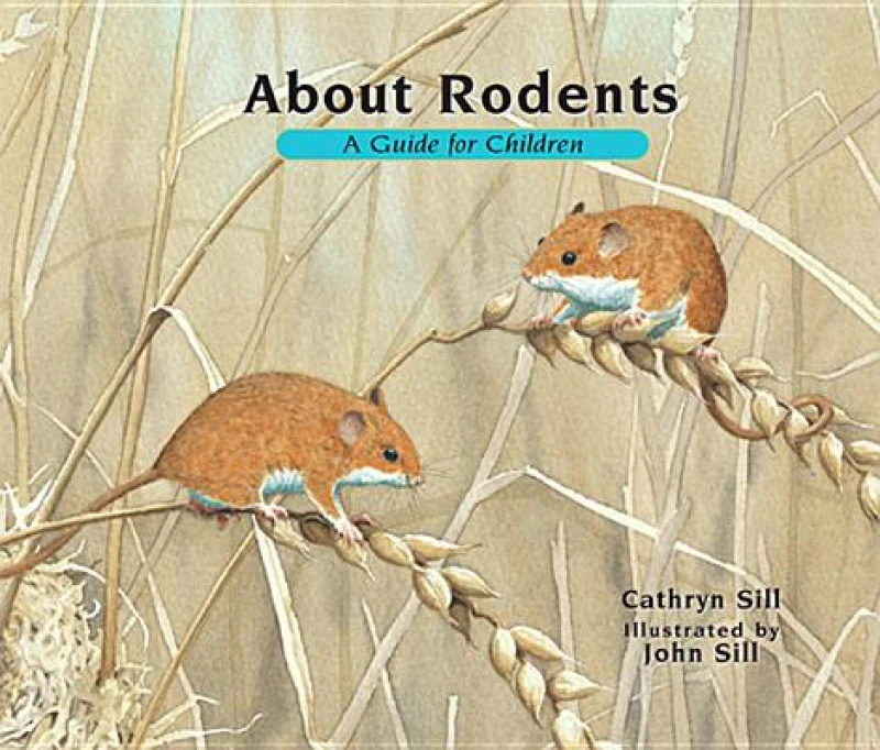 About Rodents