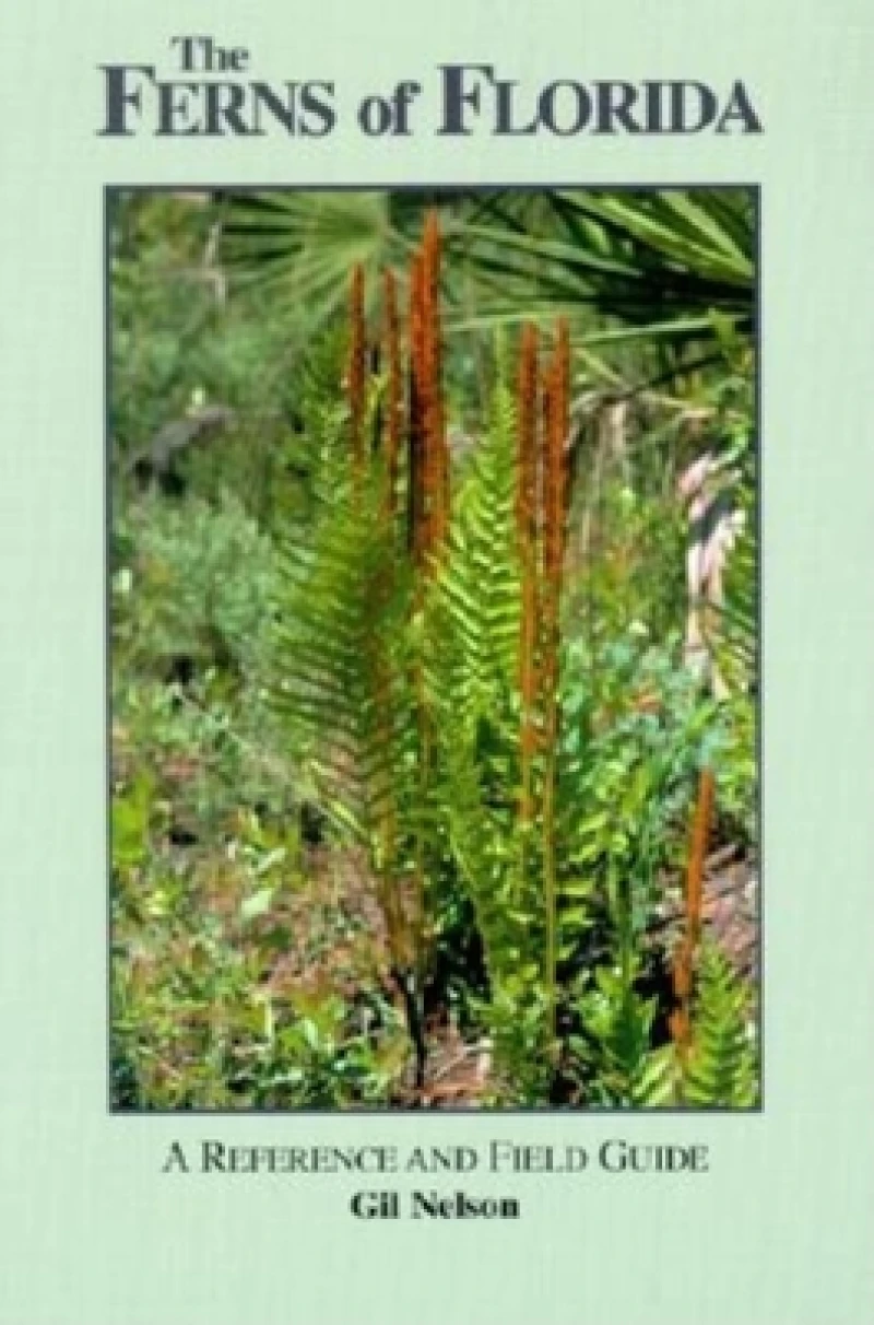 The Ferns of Florida