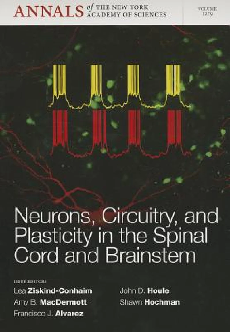 Neurons, Circuitry, and Plasticity in the Spinal Cord and Brainstem, Volume 1279