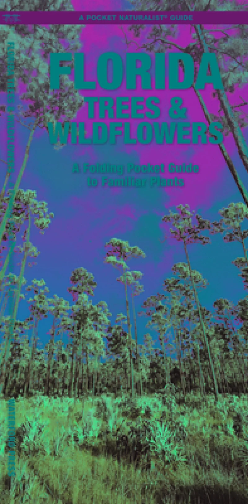 Florida Trees & Wildflowers