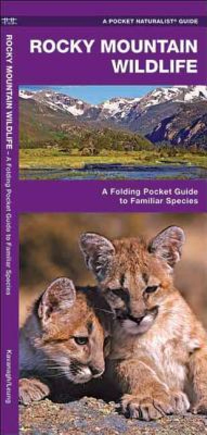 Rocky Mountain Wildlife