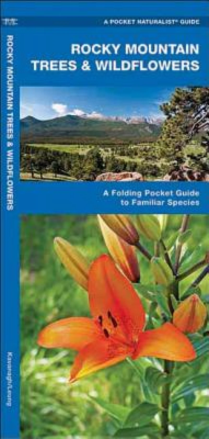 Rocky Mountain Trees & Wildflowers