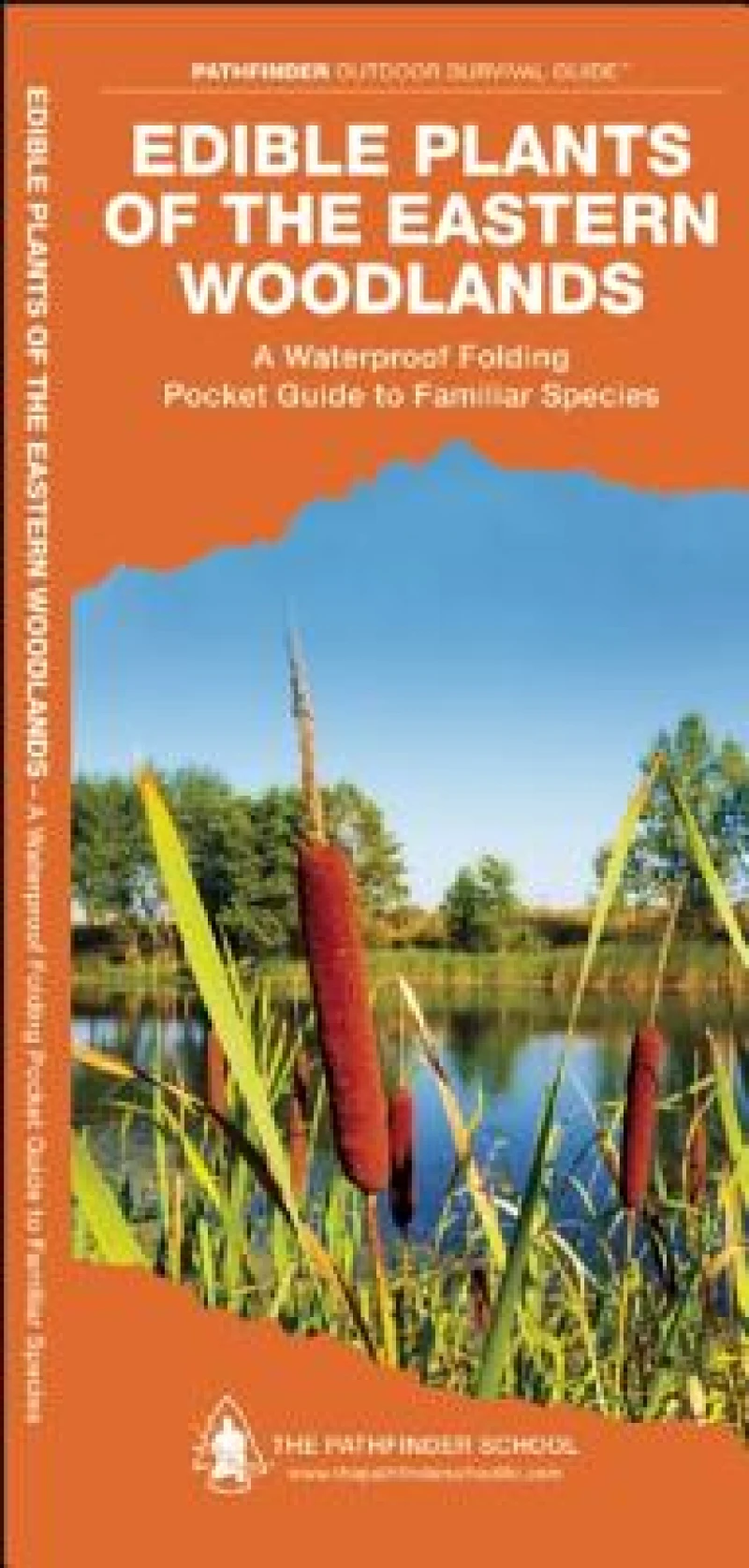 Edible Plants of the Eastern Woodlands