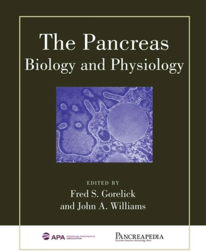 The Pancreas