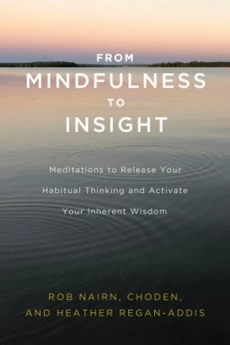From Mindfulness to Insight
