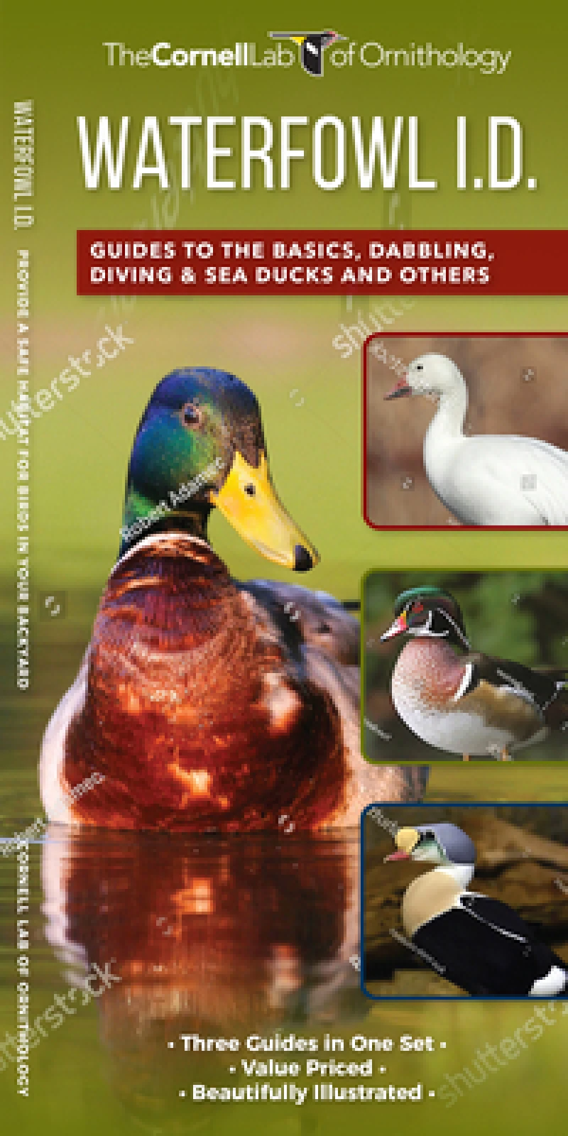 Waterfowl Id Set